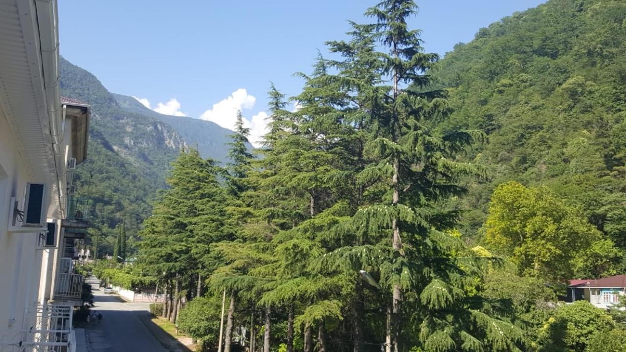 Guest House Gorny Ruchei Gagra Exterior photo